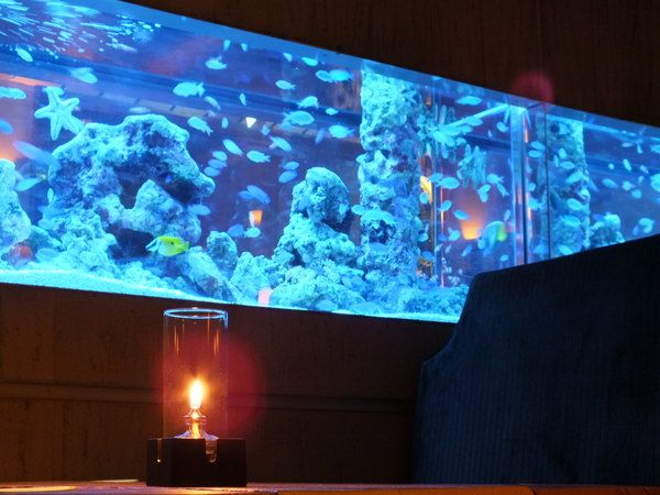 Aquarium Dining Shinjuku Lime