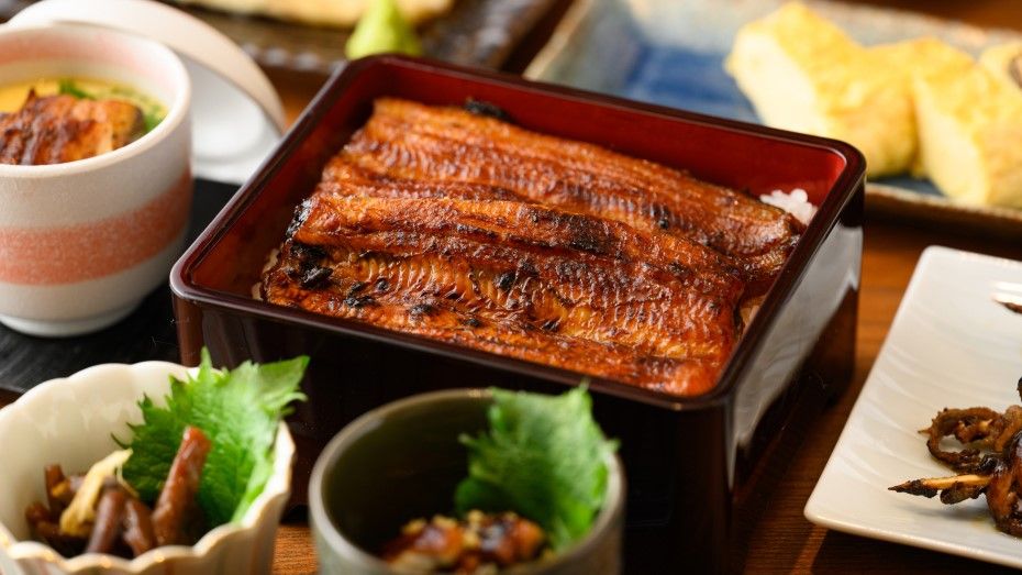 Unagi Meigetsugawa Toyosu