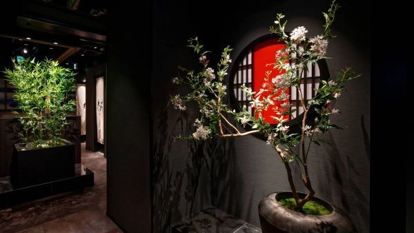 Matsusaka gyu Yakiniku M DotonboriSennichimaeten