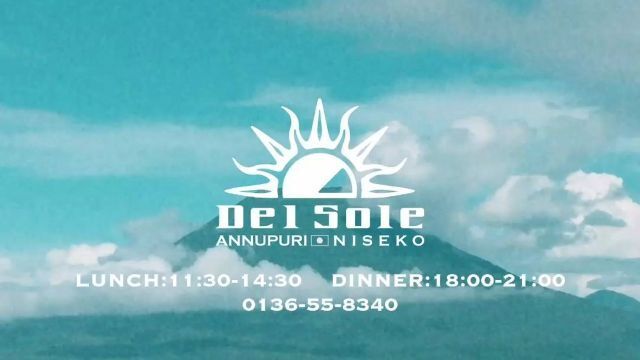 Delsole