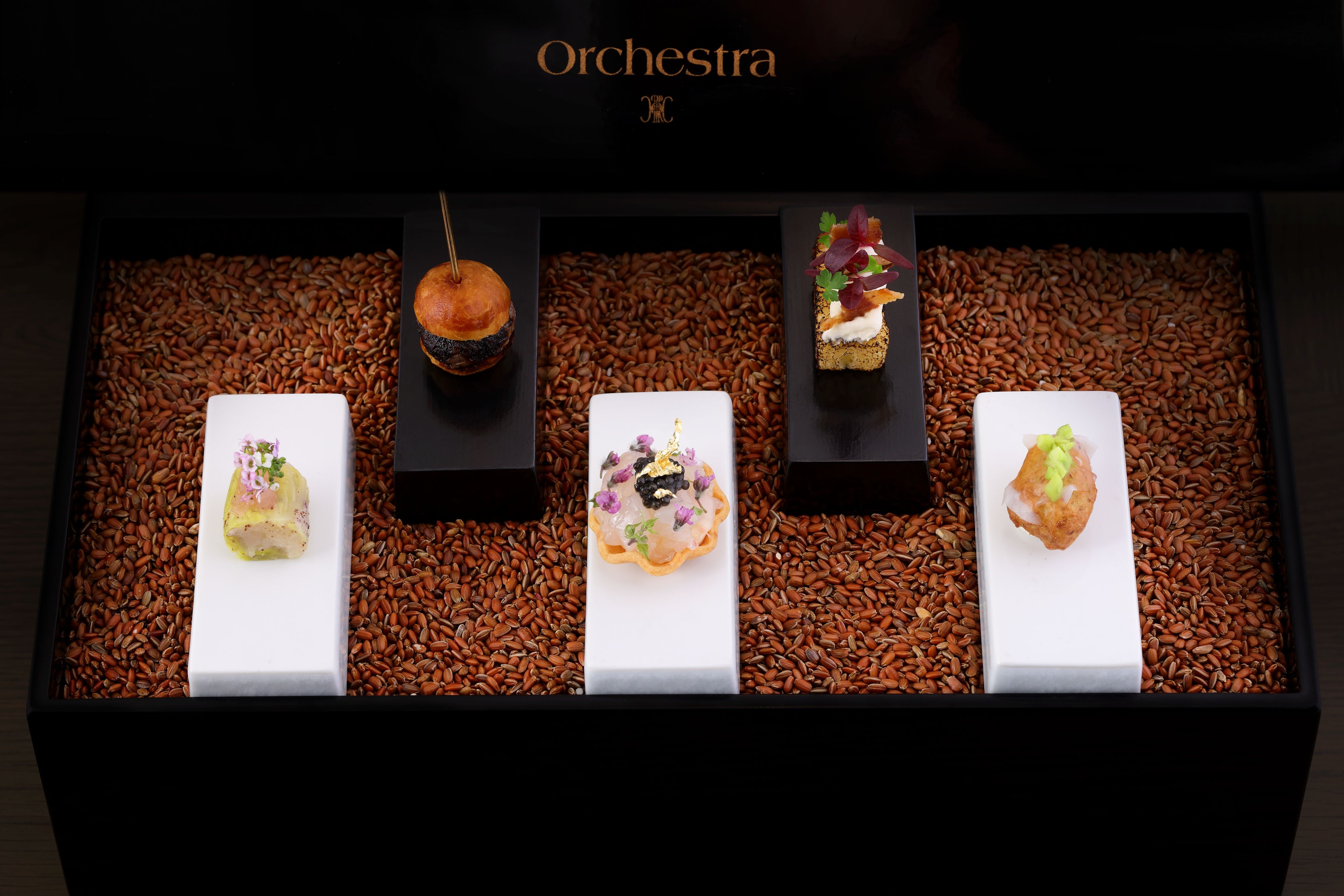 Orchestra