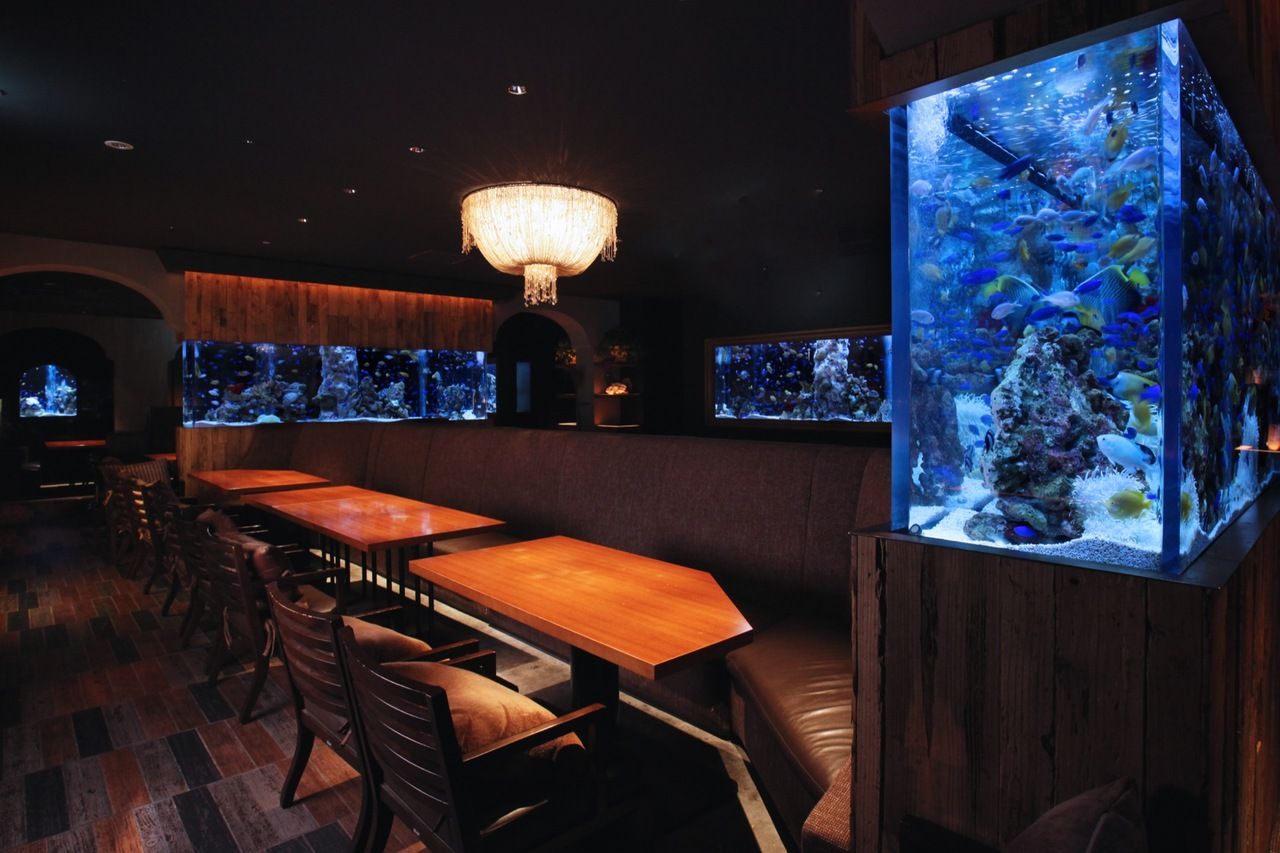 [Dinner seat only reservation]