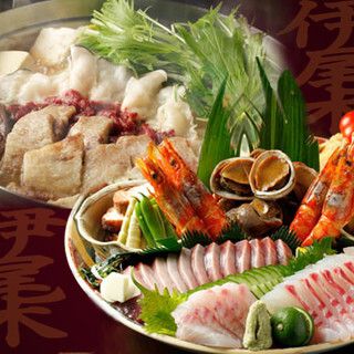 伊尾木(いおぎ)コース