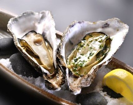 かきの喰い切りコース