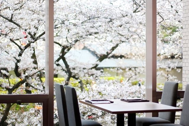 懐石　花(花見席)