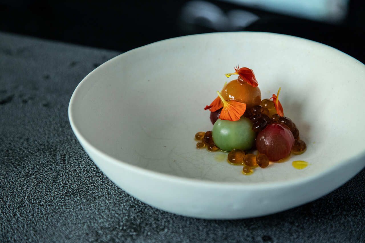 Dinner course + alcohol pairing