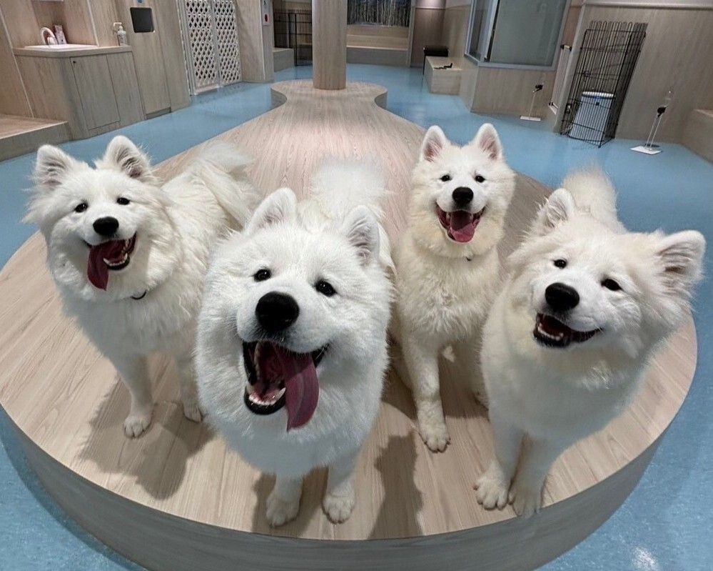  Regular ticket (50 minutes)