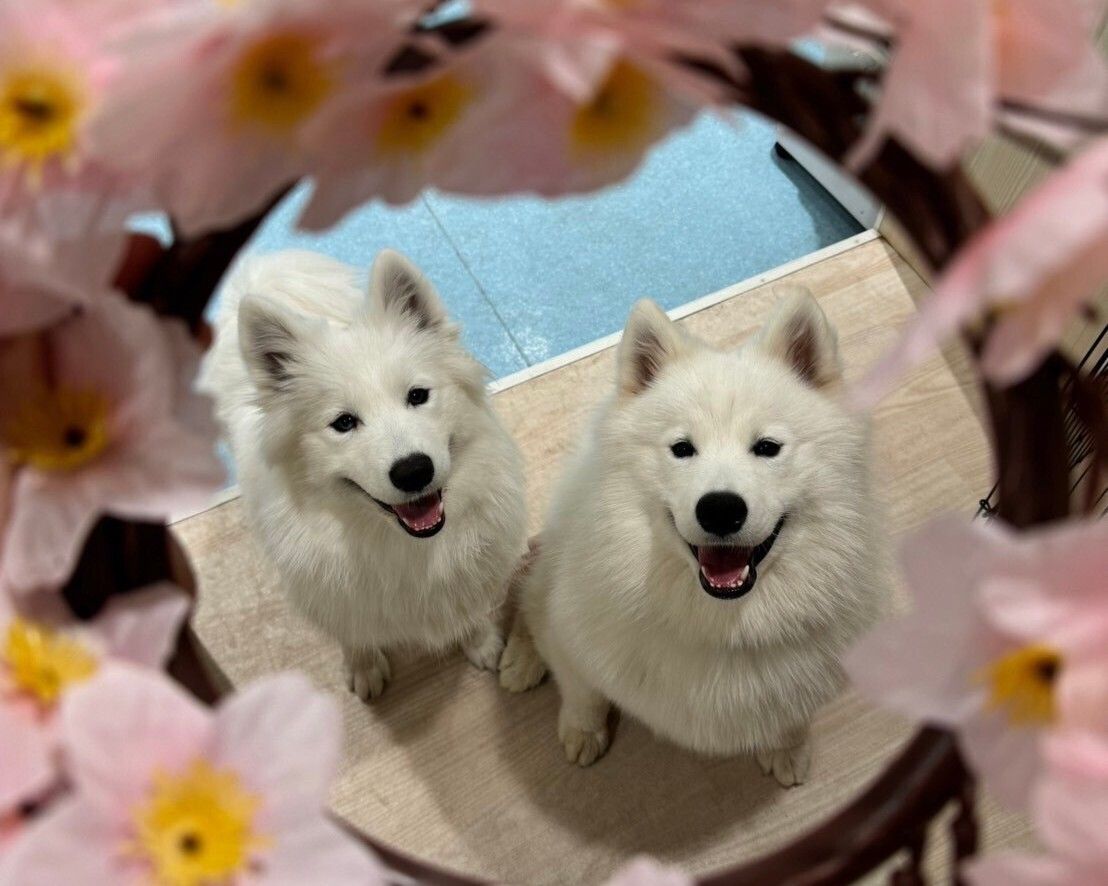 ≪土日祝≫通常チケット（50分）