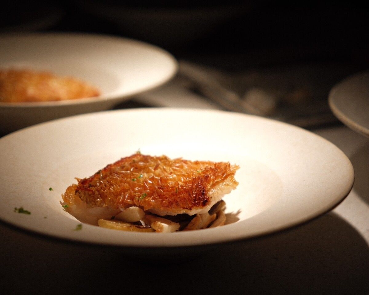 おまかせコース