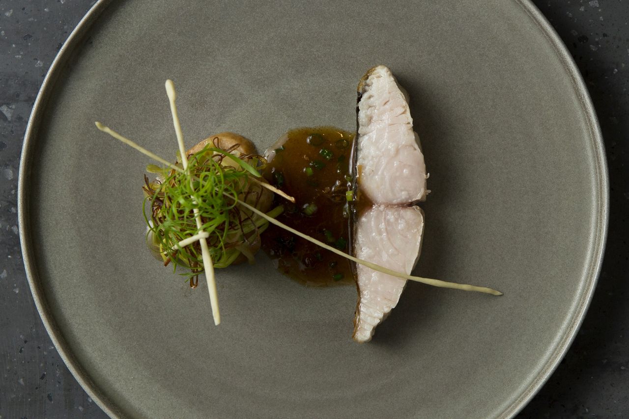 Lunch course with luxury ingredient shark fin