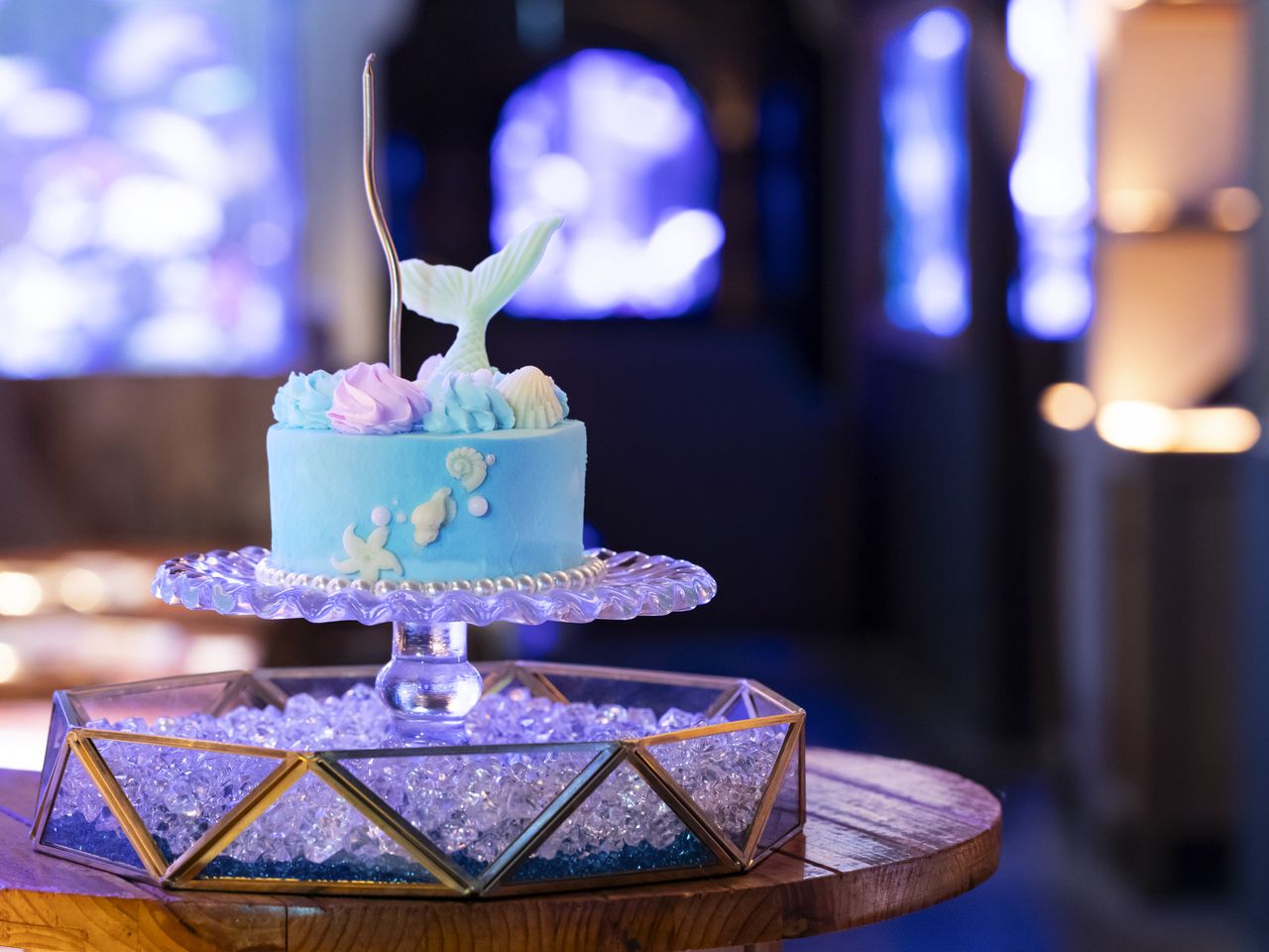 Dinner [Reservations for weekdays only] + Anniversary use (single cake or single dessert platter)