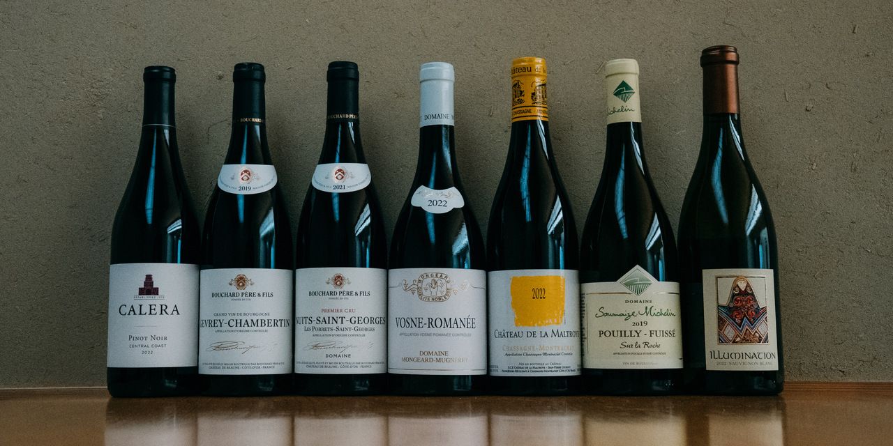 おまかせコース＋おまかせワインコース