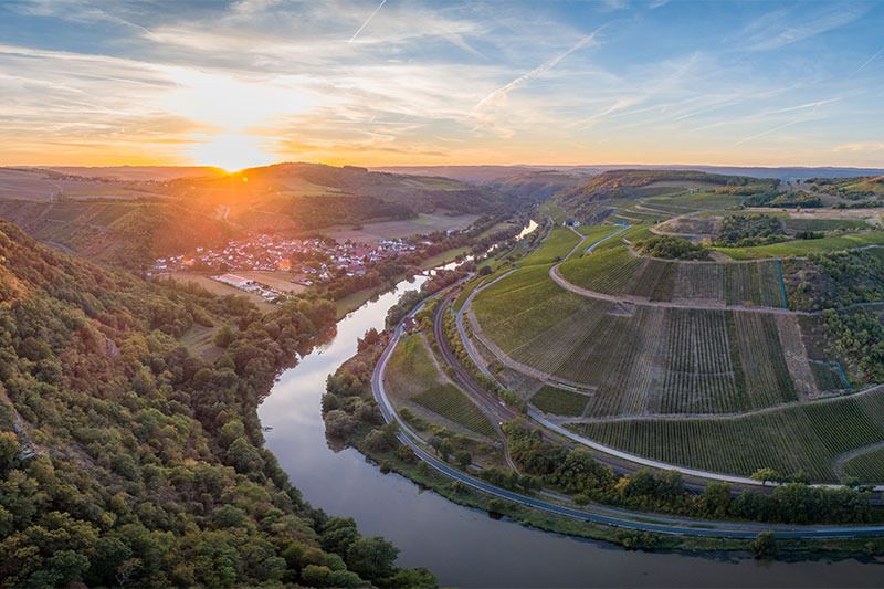 ドイツ5生産者ワイン&ビュッフェパーティ