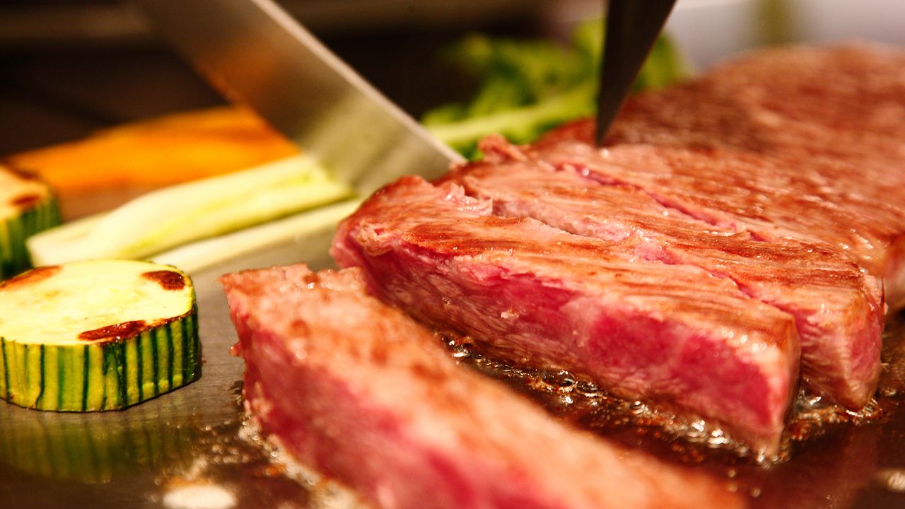 [Weekends and Holidays Only] Casual Lunch