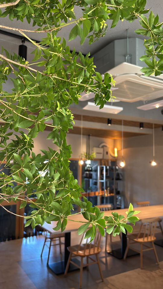 【5名様~12名様】 『シェアコース』　5,000円