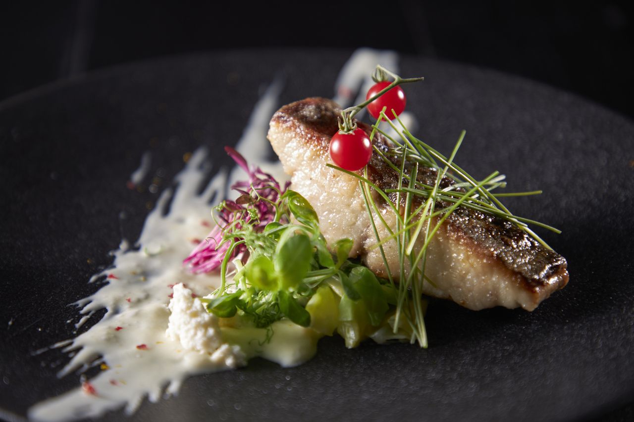 Hanzo Course 【Main: Sawai Beef Top Round Steak】