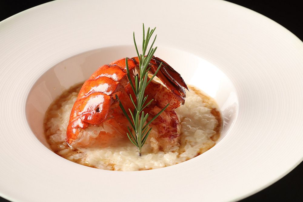 【Menu B】 2 dishes（Appetizer&main dish) 