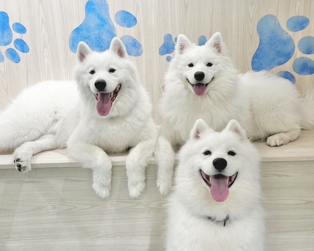 ≪土日祝≫通常チケット（50分）