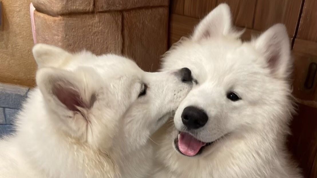 ≪土日祝≫通常チケット（50分）