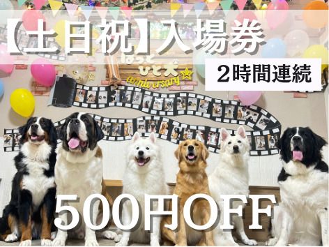Vé vào cửa (Thứ bảy, chủ nhật và ngày lễ)