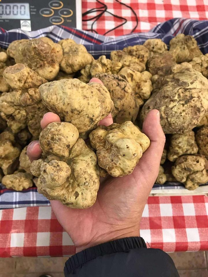 Omakase dinner course