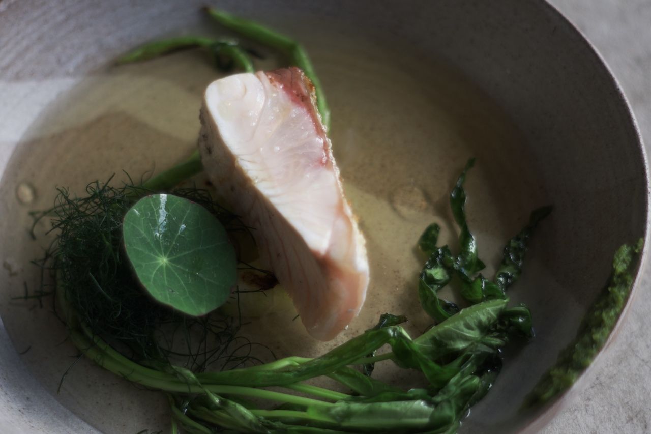 【メイン魚料理付き】prefix course 