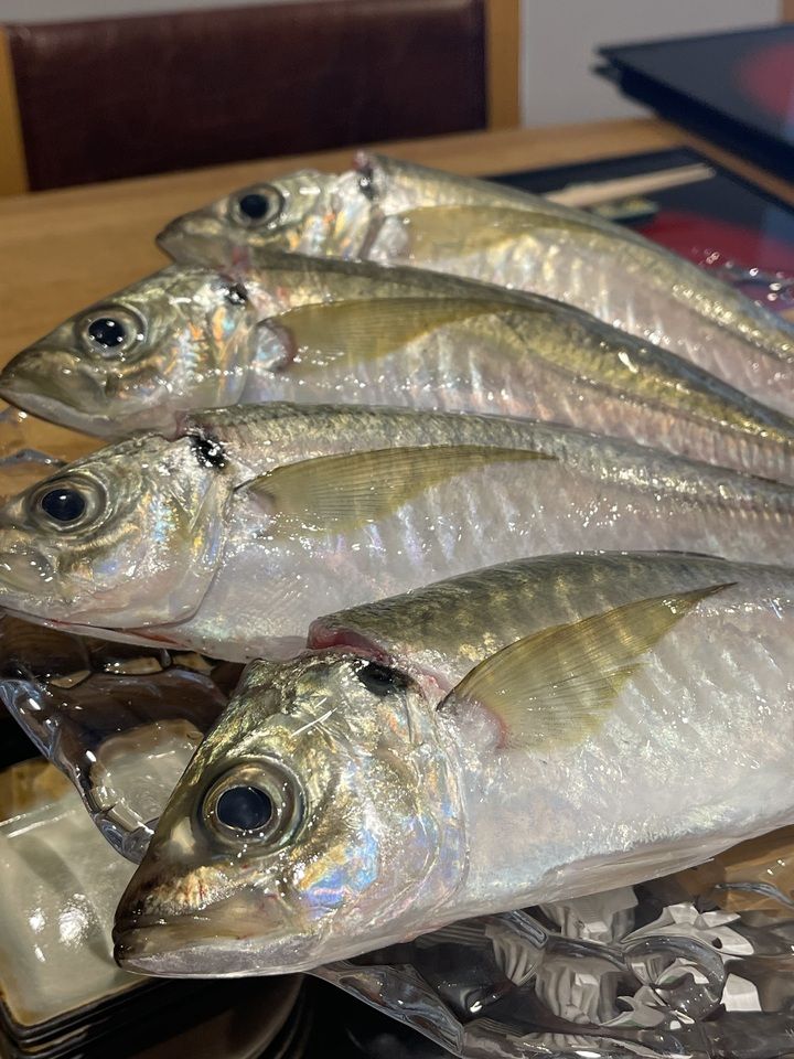 夜のおまかせコース　12月以降