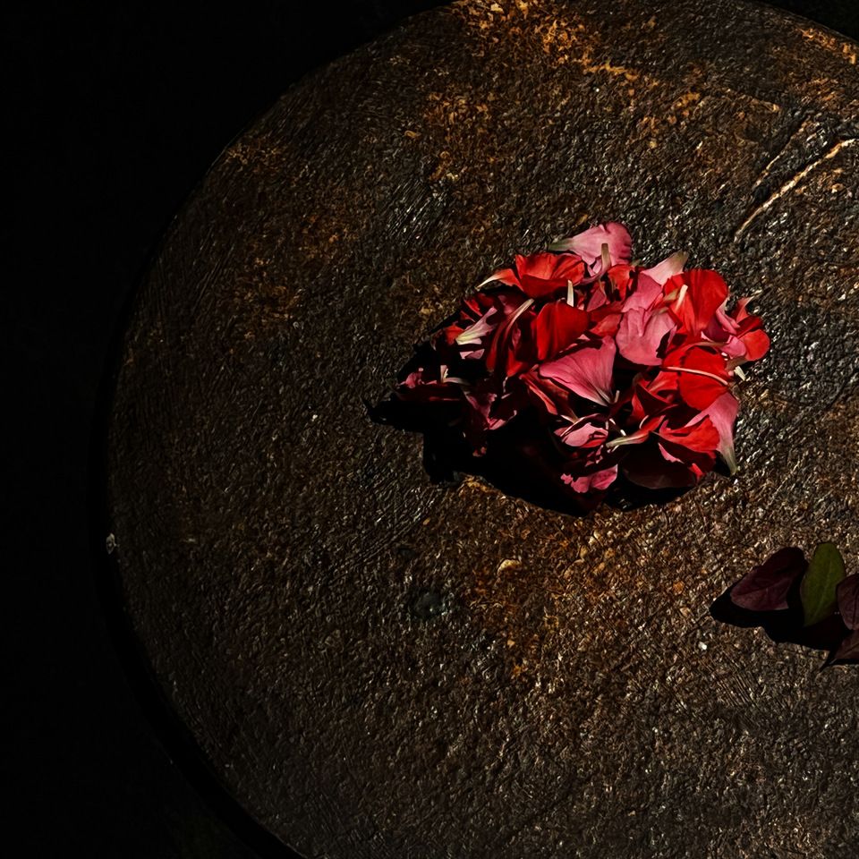 【昼】9900円おまかせコース