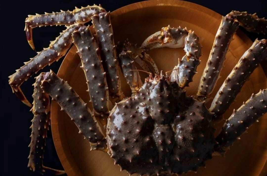 【Counter】Abalone and Live King Crab Course (Available year-round)