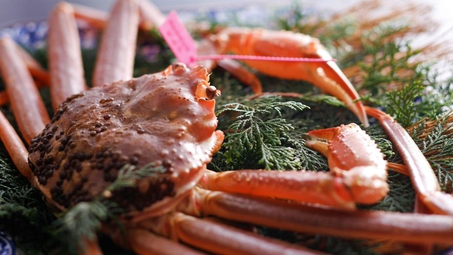 Live Snow Crab Course