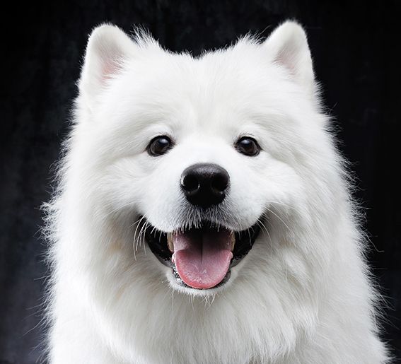 預訂（週六、週日和假日）