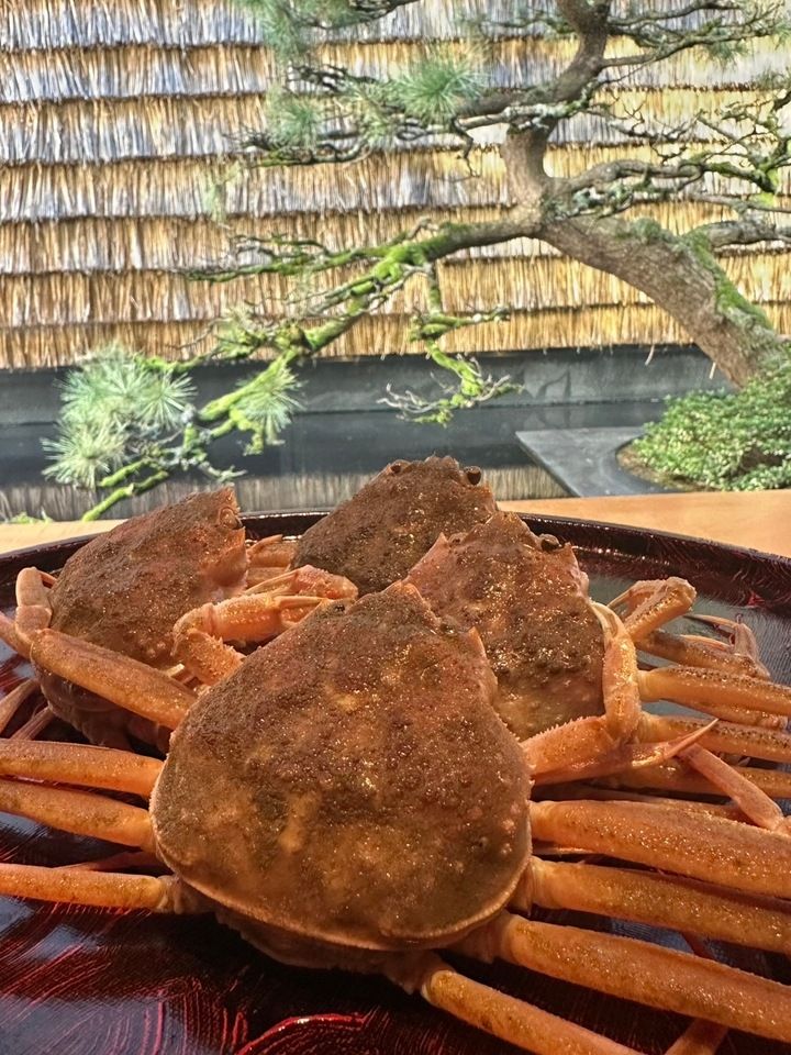 ずわい蟹半身コース