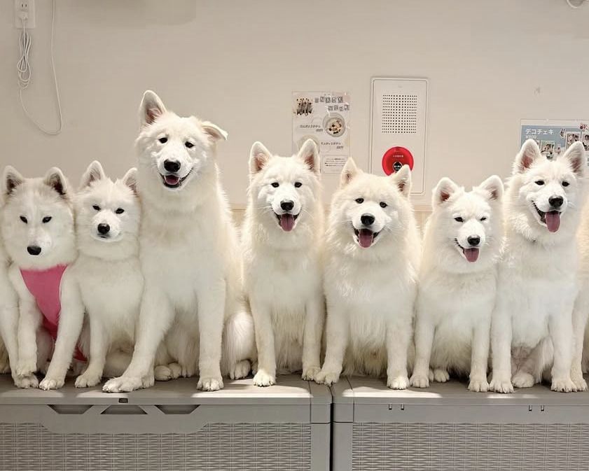  Regular ticket (50 minutes)