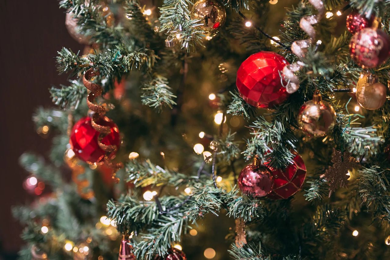 【12/24.25クリスマス限定】メインを選べる「北イタリアの冬」セミビュッフェ 　ワンドリンク付きプラン