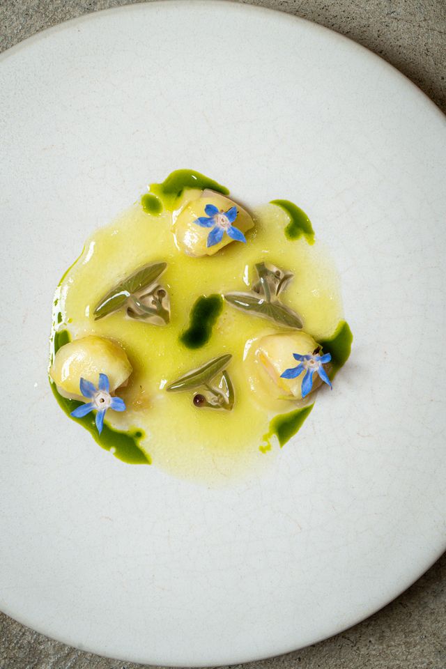 Pranzo completo a scelta dello chef - 7 portate