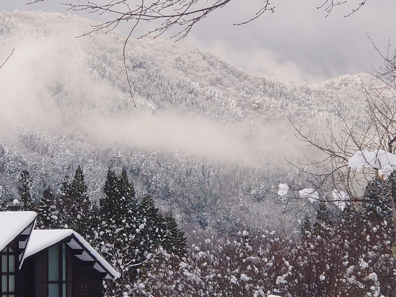 <朝夕食付2名>コテージ半棟カジュアルなツインルーム