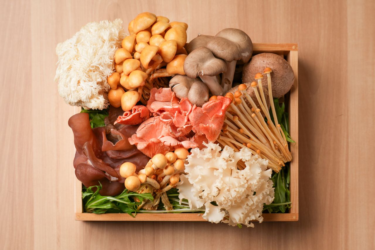 【火鍋】旬野菜としびれ余韻の彩り鍋コース