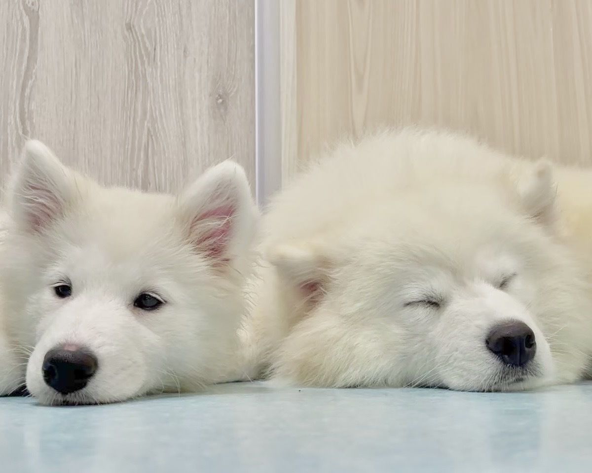 From April 1st: Weekdays - Regular Ticket (50 minutes)