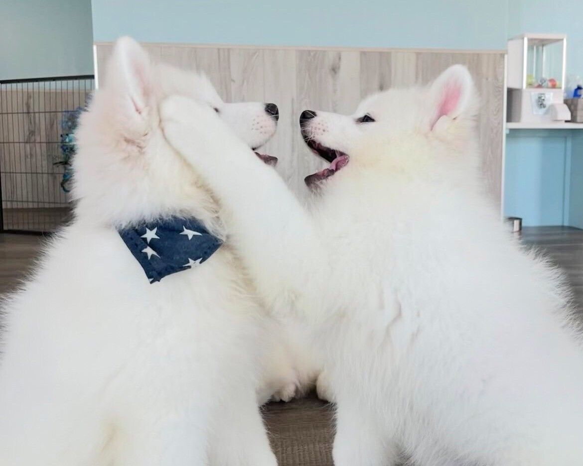 ≪ゴールデンウイーク期間≫通常チケット（50分）