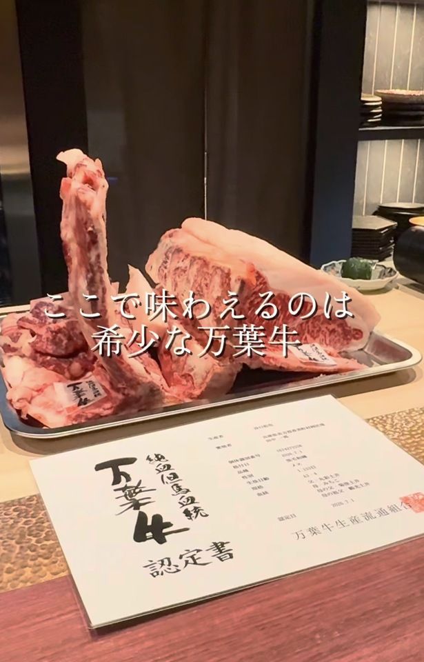 牛明灯开业纪念特别套餐：22,000日元