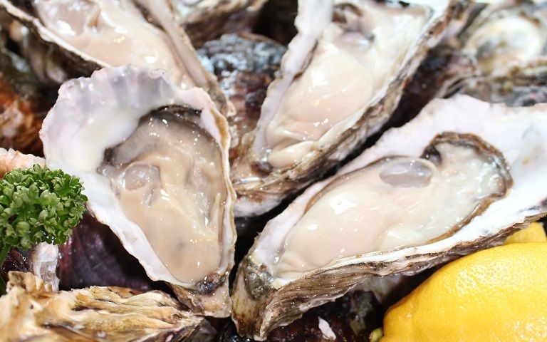 Jackpot Shimokitazawa