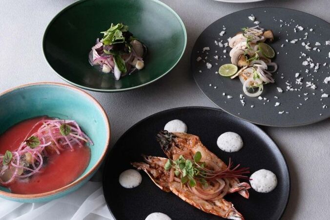 THE Tender HOUSE DINING 