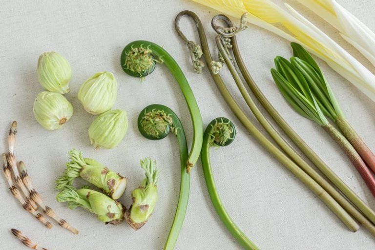 Omakase course with hairy crab shell