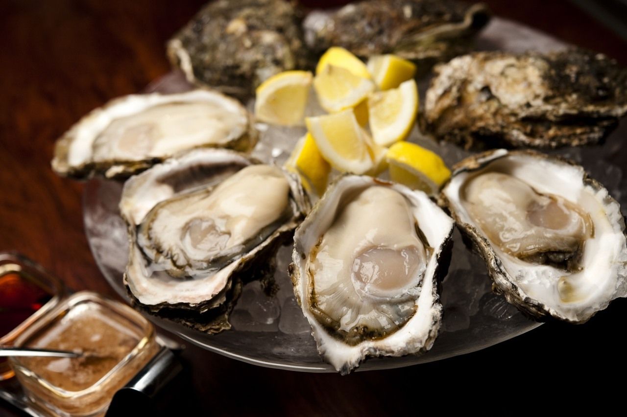 ～スタンダードコース～旬の生牡蠣や牡蠣料理、雲丹のプリンなど！