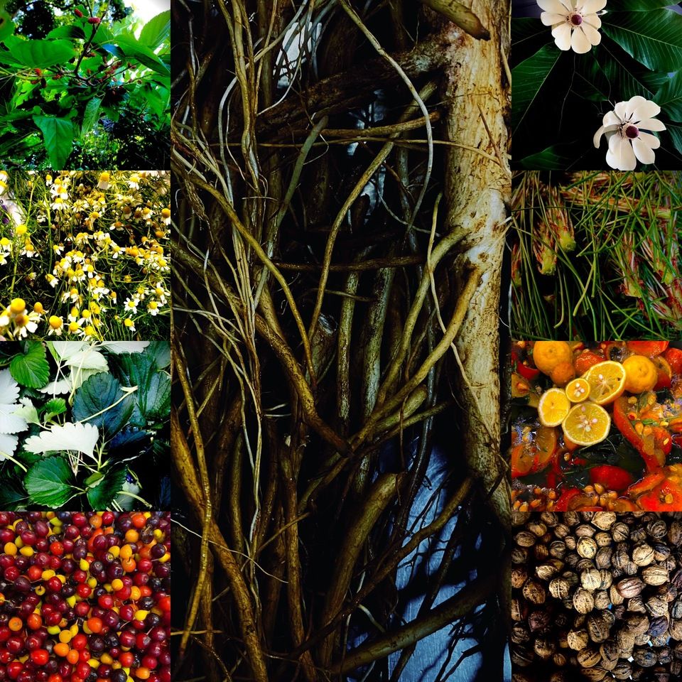 【オプション】ノンアルコールペアリング