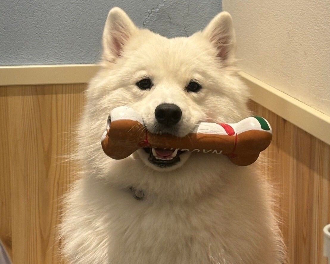 Weekends and Holidays: Regular ticket (50 minutes)