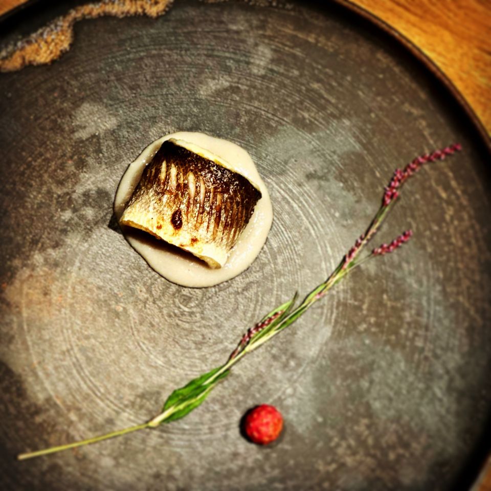 [Omakase course] Approximately 8 dishes including appetizers, assorted sashimi, simmered dishes, grilled dishes, fried dishes, clay pot rice, etc.