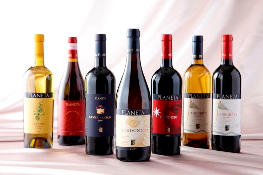 【3杯ペアリング付き】¥15,000込み込みディナー