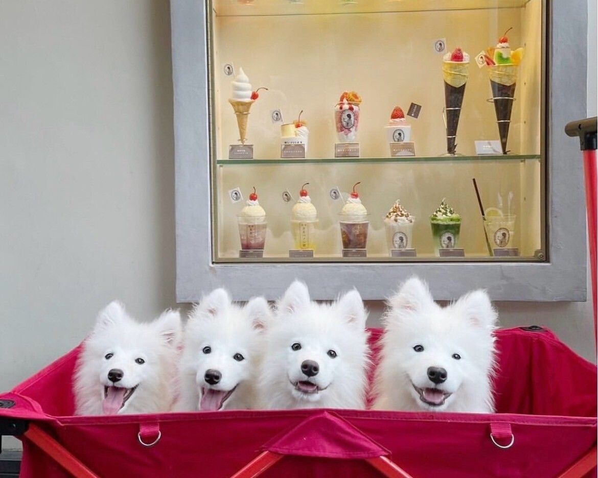  Regular ticket (50 minutes)