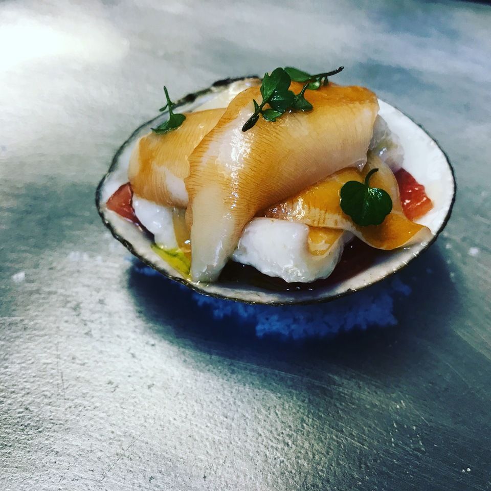 シンポジオコース